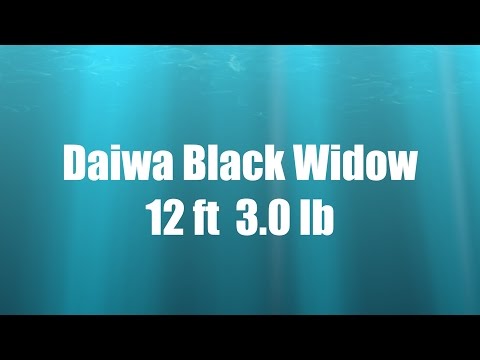 Видео: Обзор удилища Daiwa Black Widow 12ft  3.0lb