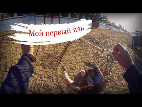 Видео: Фидер #7 2022 Ночные язи Орена