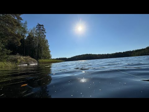 Видео: Карелия. Рыбалка с братом. Наловили щук.