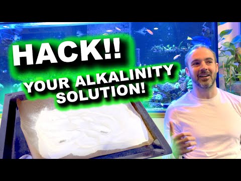 Видео: Усильте дозировку щелочности!