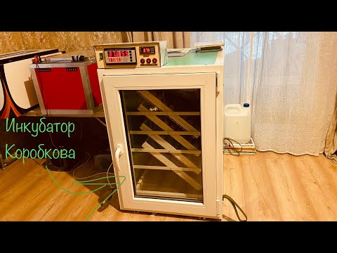 Видео: ✅Приобрели новый инкубатор Коробкова на 400 яиц ❗️