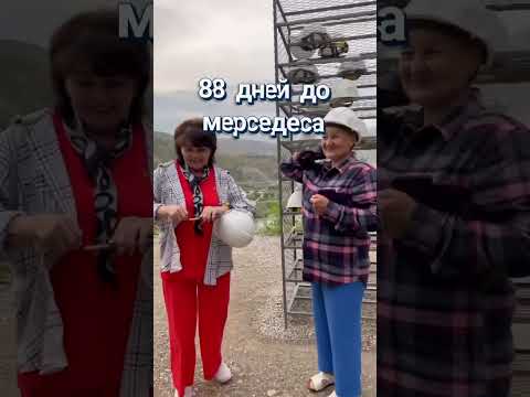 Видео: 88 дней до мерседеса. #мотивациянауспех #деньги #искусственныйинтеллект #89188430861