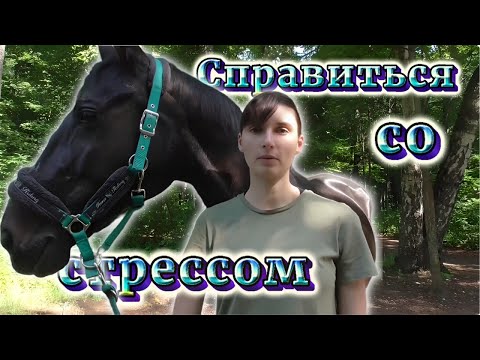 Видео: Как справиться с волнением