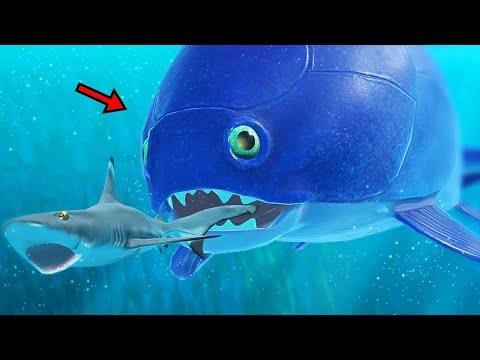 Видео: Ең үлкен китпен төбелестім