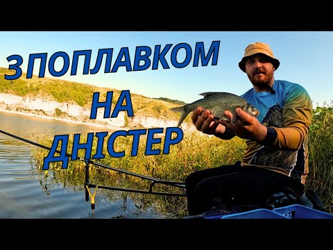 Видео: Рибалка на ПОПЛАВОК на річці Дністер!! Як ловити на поплавок на річці?