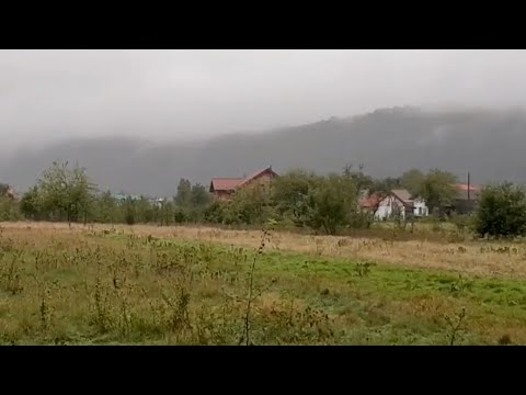 Видео: ПЕРЕСЕЛЕНЦІ. Життя в селі на ПРИКАРПАТТІ.