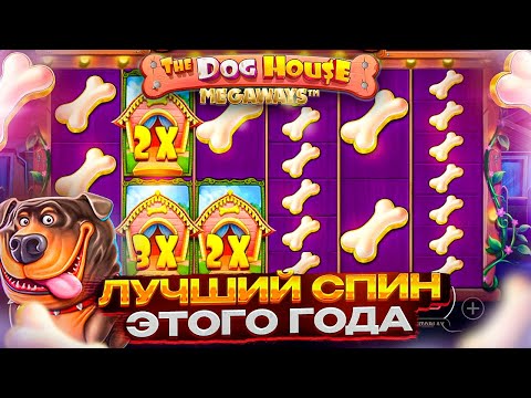 Видео: ПОДНЯЛ 500К ??? ВЫБИЛ КРУТУЮ БОНУСКУ в THE DOG HOUSE MULTIHOLD !!!!