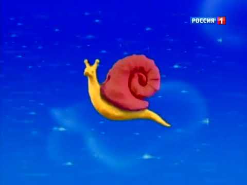 Видео: 19 августа 2025 г.