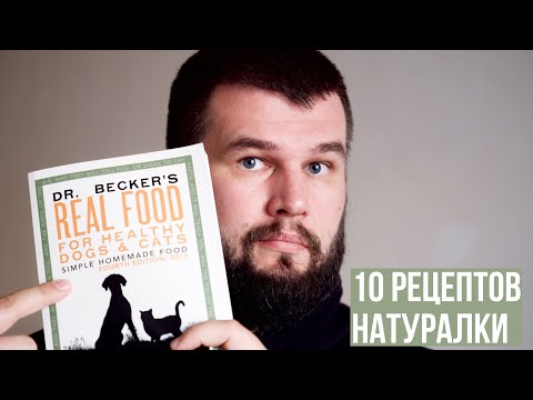 Видео: 10 рецептов натуралки для собак от холистического ветеринара
