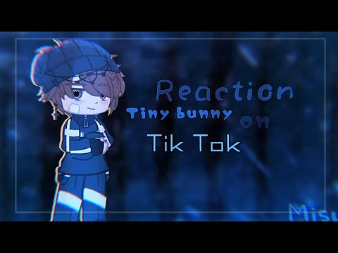 Видео: реакция зайчика на ТТ ||Tinny bunny|| 🐇