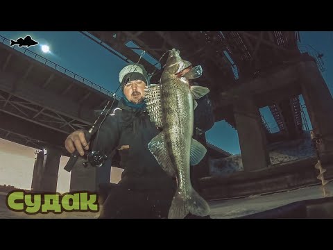 Видео: Сибирь  когда же клюет судак ратлин