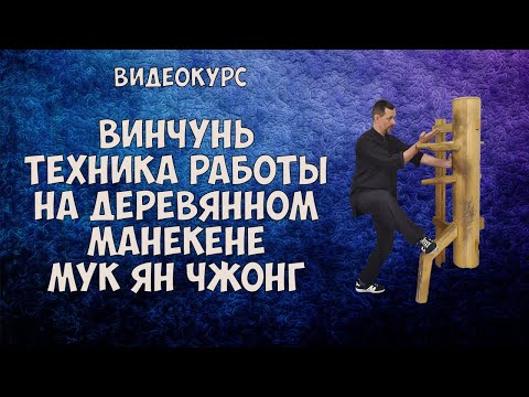 Видео: Проморолик курса по работе с  деревянным человеком в винчунь