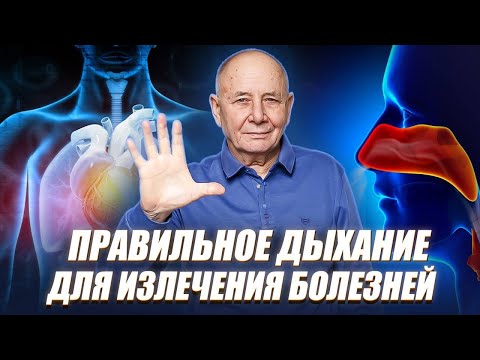 Видео: Основы ДЫХАТЕЛЬНОЙ практики. Виды практик и их влияние на организм!