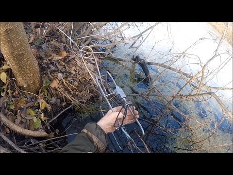 Видео: Охота на бобра с КП 320 на норе (Будни охотника и рыбака)