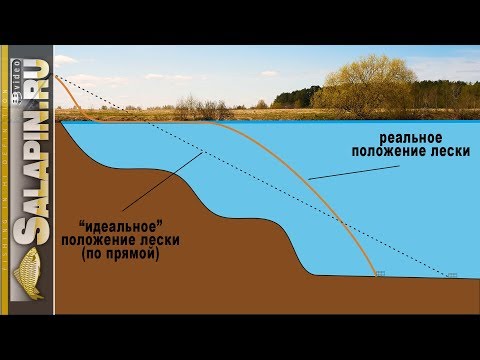 Видео: Ловля на фидер: почему провисает леска после заброса? [salapinru]