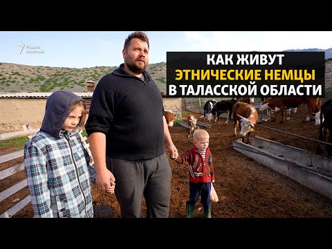 Видео: “Родину я ни на какую страну не променяю”. Как живут этнические немцы в Таласской области