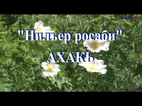 Видео: ИСТОРИЯ СЕЛА АХАТЛЫ БУЙНАКСКОГО РАЙОНА  | АХАКЬ РОСДАЛ ТАРИХ