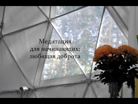 Видео: Медитация для начинающих: любящая доброта