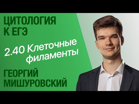 Видео: 2.40. Промежуточные филаменты и микрофиламенты | Цитология к ЕГЭ | Георгий Мишуровский