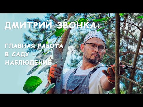Видео: Садоводческие стереотипы глазами эксперта