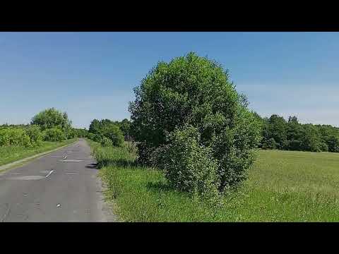 Видео: И снова в путь. Чертоганы - Синькасы - Бреняши