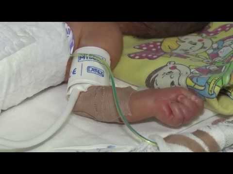 Видео: Осьминожки недоношенным крошкам