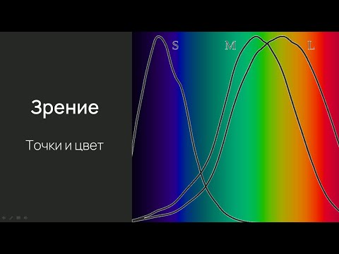 Видео: Нейробиологи восприятия. Лекция 5. Сетчатка