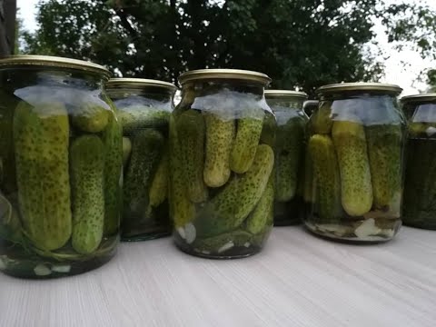 Видео: Туздалган бадыраң 🥒 // Солёные огурцы 🥒