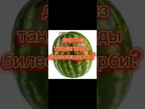 Видео: Дарбызды туура тандоону билип алыныз