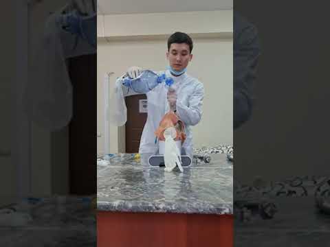 Видео: Трахея интубасиясы