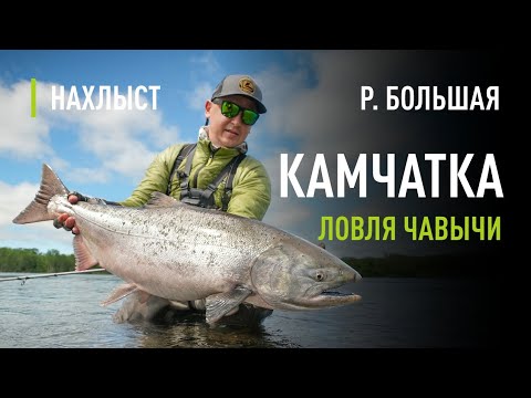 Видео: Ловля ЧАВЫЧИ нахлыстом на КАМЧАТКЕ. Тактика ловли по низкой воде, рабочие мушки.