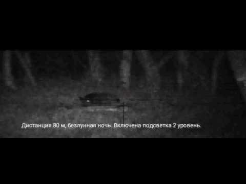 Видео: Кабан, добытый с Пульсар 770а.