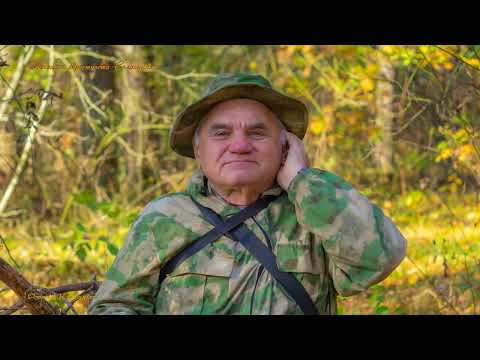 Видео: Окрестности Солигорска в октябре 2025г S