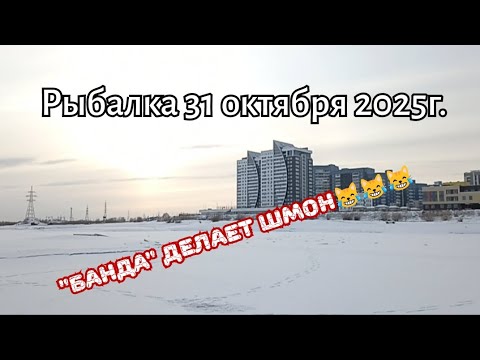 Видео: Рыбалка 31.10.25г. "Банда" делает шмон