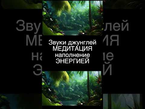 Видео: Звуки джунглей МЕДИТАЦИЯ наполнение ЭНЕРГИЕЙ #shorts