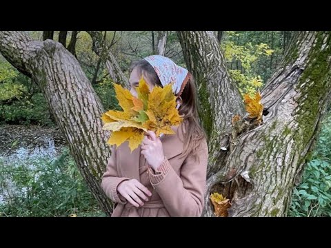 Видео: Когда-нибудь ты думал человек...