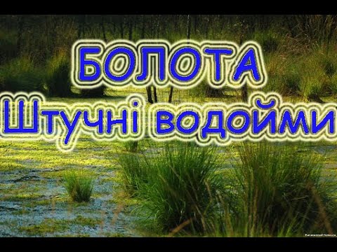 Видео: Болота.  Штучні водойми.