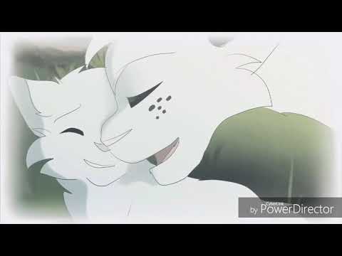 Видео: Коты-Воители. Что же ты делаешь папа?