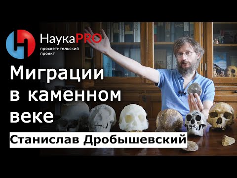Видео: Миграции древних людей в каменном веке – Станислав Дробышевский | Лекции по антропологии | Научпоп