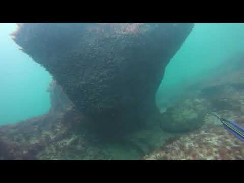 Видео: 15мкр.  21.10.2018г. Подводная охота. Каспийское море Актау.