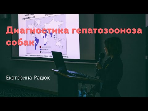 Видео: Диагностика гепатозооноза собак