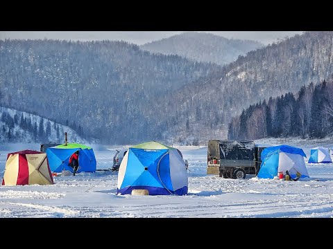 Видео: ТАКОЕ ВПЕРВЫЕ! СРАЗУ ДВА! НЕ ПОДНИМАЮТСЯ! РЫБАЛКА В НОЧЬ С БРАТОМ-БЛИЗНЕЦОМ 2024