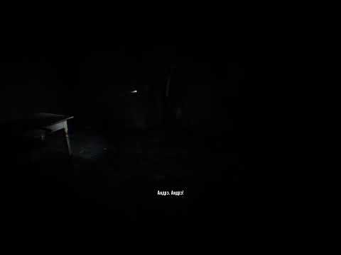 Видео: Срачка на ночь