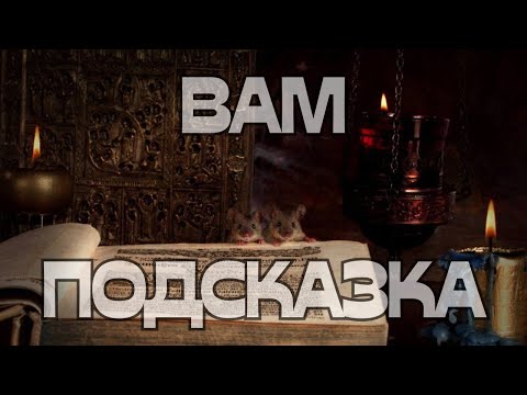 Видео: 🚨ВАМ ПОДСКАЗКА☀️🔥