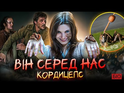 Видео: Кордицепс вже вийшов на полювання! Як гриби поневолюють інших істот? Загроза для людей?  @bio_UA