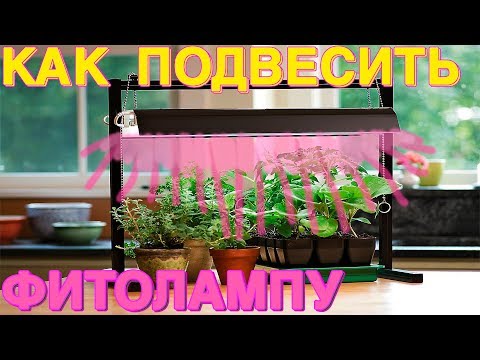 Видео: КАК ПОВЕСИТЬ ФИТОЛАМПУ ? Настольные, для подоконников, стойки для стеллажей  - способы крепления.