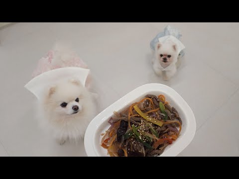 Видео: Корейские собаки празднуют новый год в корейских традиционных костюмах, чапче и сикхе для собак