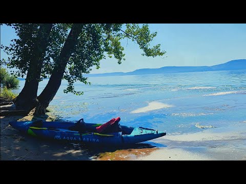 Видео: Обошли на каяке муравьиные острова