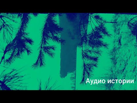 Видео: даже жевать перестала, когда услышала телефонный разговор вошедшей свекрови.потом муж даже помог...