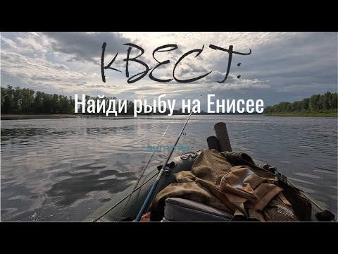 Видео: 40 км по Енисею в поисках рыбы[4K]
